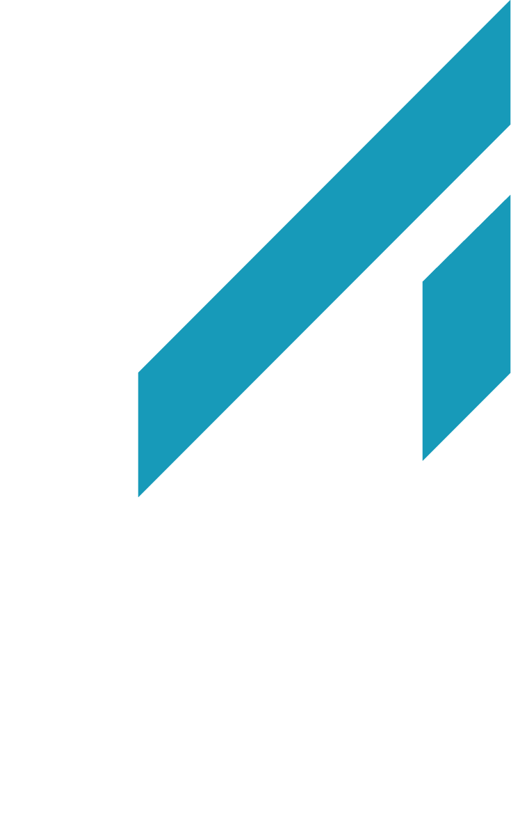 Designer Logo